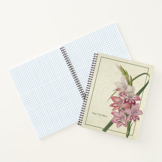 Carnet Glaielus Truffaut (Intérieur)