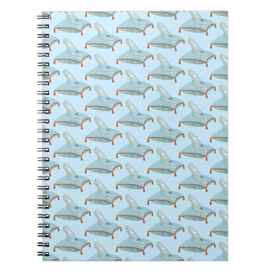 Carnet Glass Slipper Notebook (Devant)