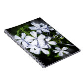 Carnet Globe des fleurs (Côté Droit)
