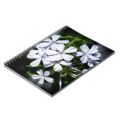 Carnet Globe des fleurs (Côté gauche)
