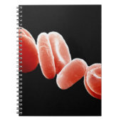 Carnet Globules rouges (Devant)