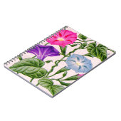 Carnet gloire du matin en bleu et rose (Côté gauche)