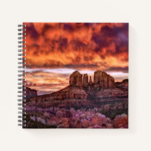 Carnet Gloire du matin rose