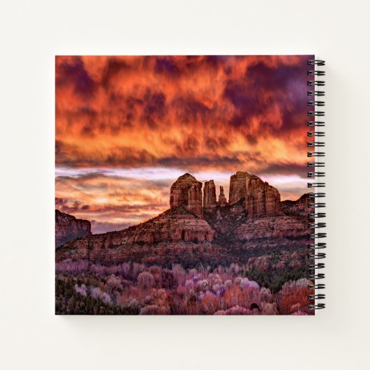 Carnet Gloire du matin rose (Dos)