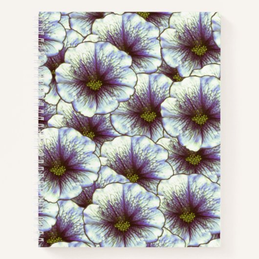 Carnet Gloire du matin violet et blanc (Devant)