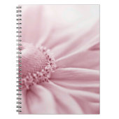 Carnet Gloriosa Daisy Macro (Devant)