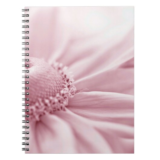 Carnet Gloriosa Daisy Macro (Devant)