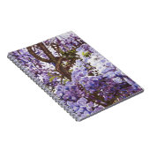 Carnet Glycines bleues 2011 (Côté Droit)