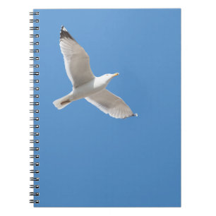 Carnet Goéland volant