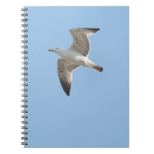 Carnet Goéland volant
