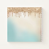 Carnet Gold Parties scintillant Et Pastel Blue Sketchbook (Dos)