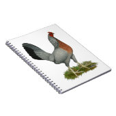 Carnet Golden Duckking Hen (Côté Droit)