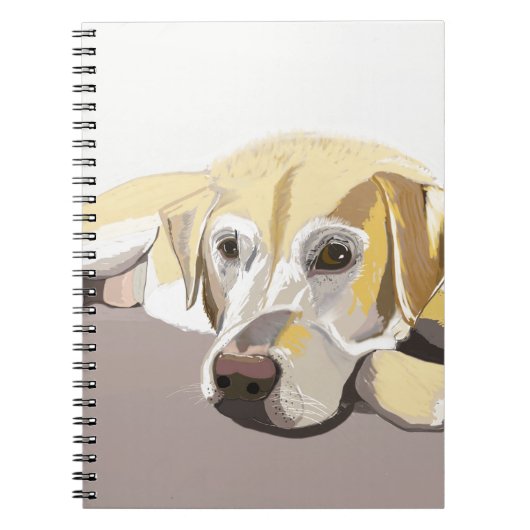 Carnet Golden Labrador (Devant)