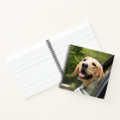 Carnet Golden Labrador En Réarview Mirror (Intérieur)