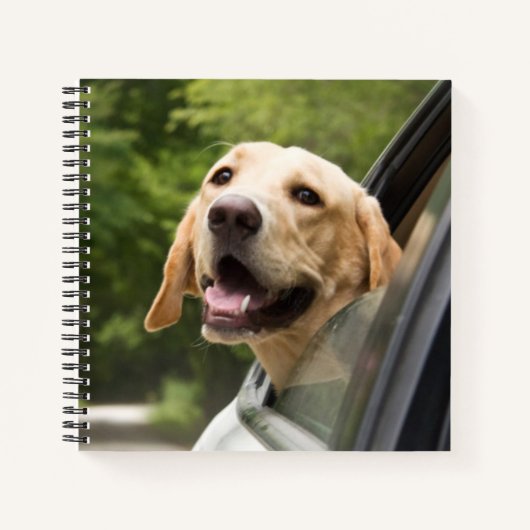 Carnet Golden Labrador En Réarview Mirror (Devant)