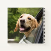 Carnet Golden Labrador En Réarview Mirror (Dos)