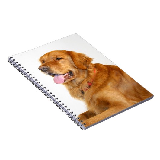 Carnet Golden Retriever (Côté Droit)