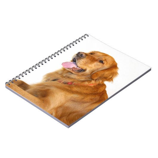 Carnet Golden Retriever (Côté gauche)