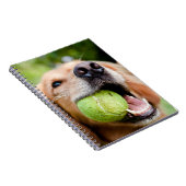Carnet Golden Retriever Avec Le Bal De Tennis (Côté Droit)