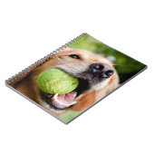 Carnet Golden Retriever Avec Le Bal De Tennis (Côté gauche)