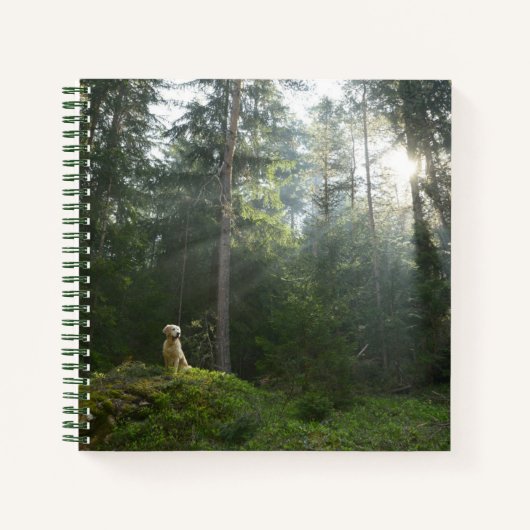 Carnet Golden Retriever Chien | Pine Woodland (Devant)