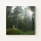Carnet Golden Retriever Chien | Pine Woodland (Dos)