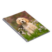 Carnet Golden Retriever chiot un Goldie mignon (Côté Droit)