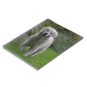 Carnet Golden retriever courant 2 (Côté gauche)