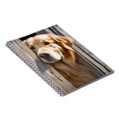 Carnet Golden Retriever Dans La Porte De La Grange (Côté Droit)