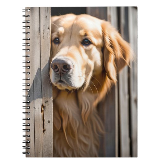 Carnet Golden Retriever Dans La Porte De La Grange (Devant)