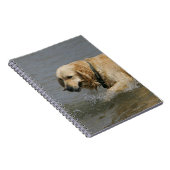 Carnet Golden retriever dans l'eau (Côté Droit)