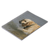 Carnet Golden retriever dans l'eau (Côté gauche)