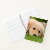 Carnet Golden Retriever mignon Chiot Dreams Chien Tête Ph (Intérieur)