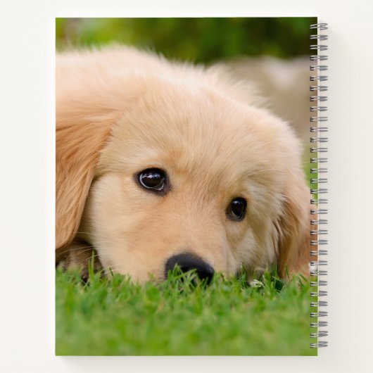 Carnet Golden Retriever mignon Chiot Dreams Chien Tête Ph (Dos)