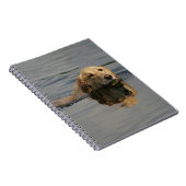 Carnet Golden retriever nageant (Côté Droit)