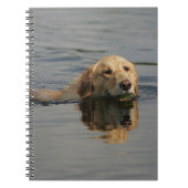 Carnet Golden retriever nageant (Devant)