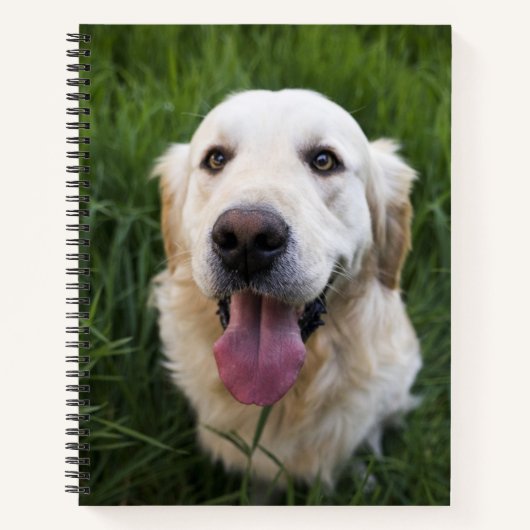 Carnet Golden Retriever souriant (Devant)