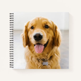Carnet Golden Retriever souriant