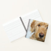 Carnet Goldendoodle Puppy Closeup (Intérieur)
