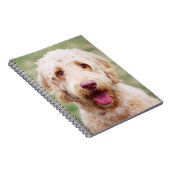 Carnet Goldendoodle souriant (Côté Droit)