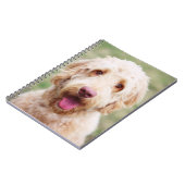Carnet Goldendoodle souriant (Côté gauche)