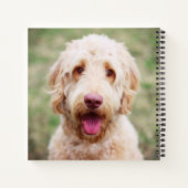 Carnet Goldendoodle souriant (Dos)