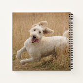 Carnet Goldendoodle Traverse L'Herbe (Dos)