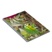 Carnet Goldfinch (Côté Droit)