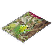 Carnet Goldfinch (Côté gauche)