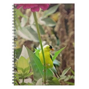 Carnet Goldfinch