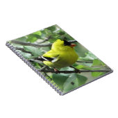 Carnet Goldfinch (Côté Droit)