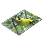 Carnet Goldfinch (Côté gauche)