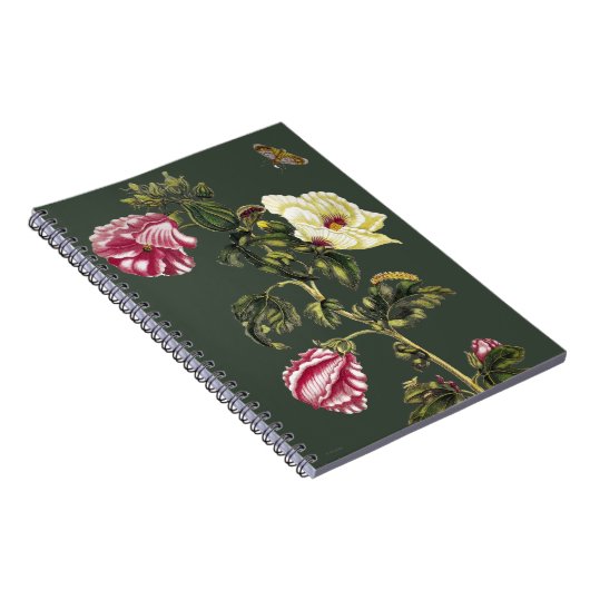 Carnet Gombo (Côté Droit)