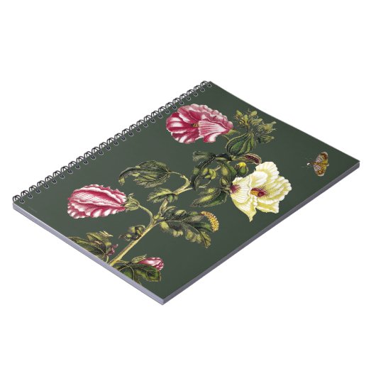 Carnet Gombo (Côté gauche)